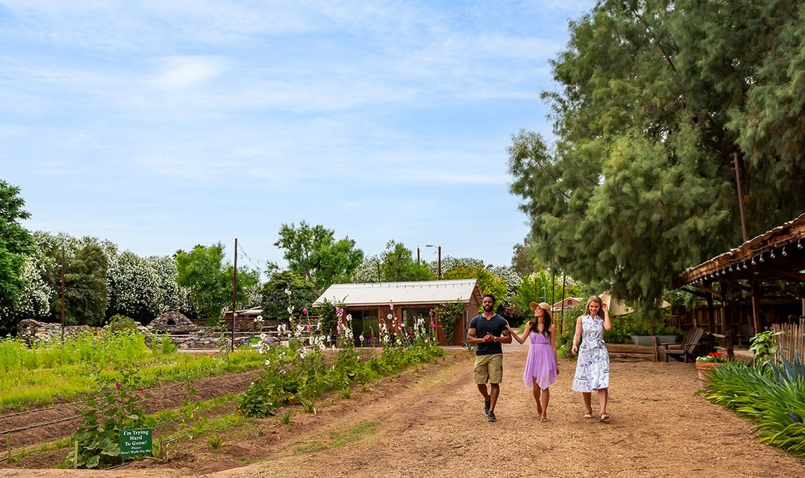 The Farm South Mountain, Phoenix