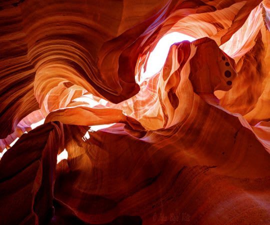 N'oubliez pas de lever les yeux ! / Credit: John Volk