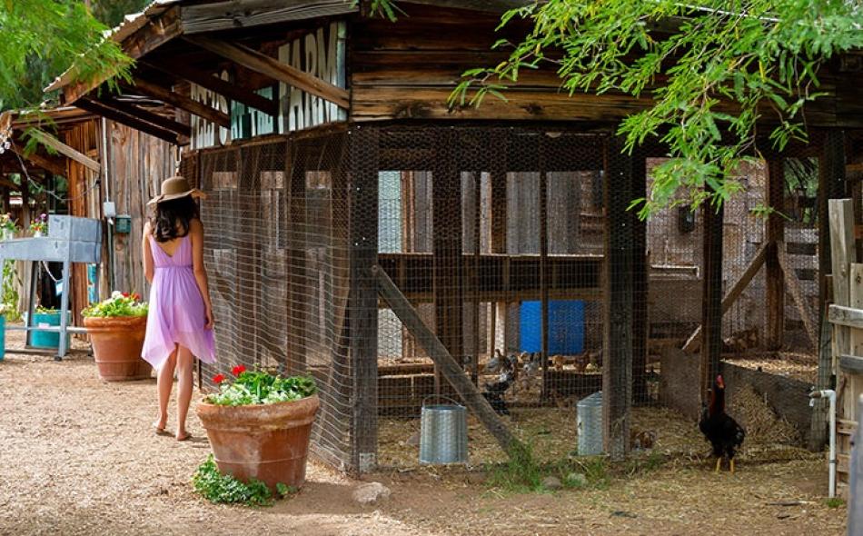 Séjours de De Luxe Dans Les Principales Villes en Arizona