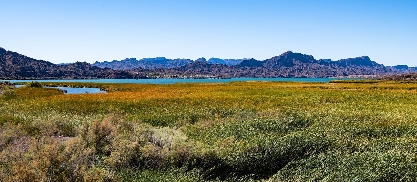 Ahakhav Tribal Preserve