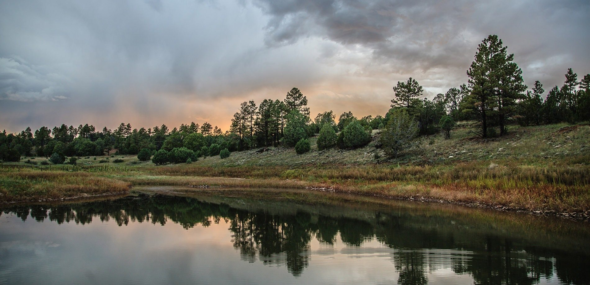 SHOW LOW LAKE | JACQUES MARSH WILDLIFE AREA