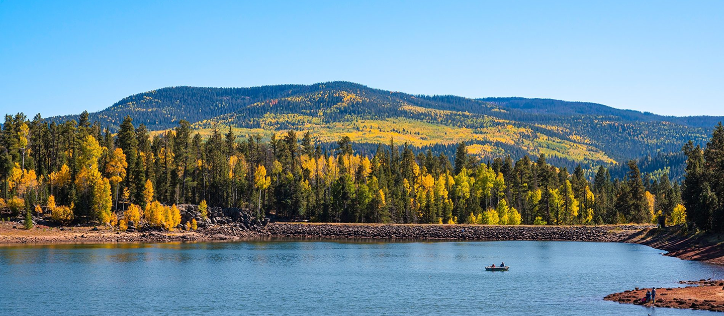 WHITE MOUNTAIN TRAIL SYSTEM